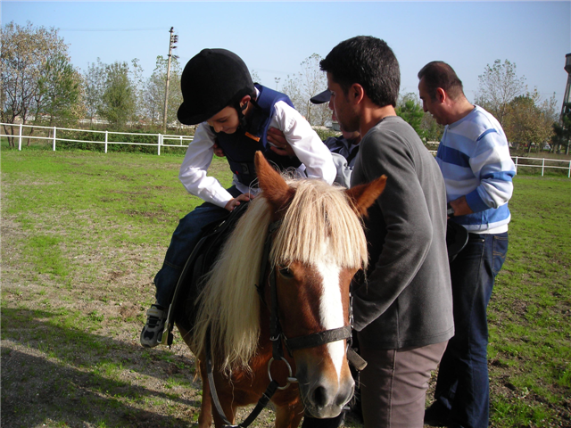 Binicilik