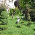 Darica hayvanat Bahcesi