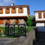 Selcuk Sirince