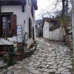 Sirince Rehberi