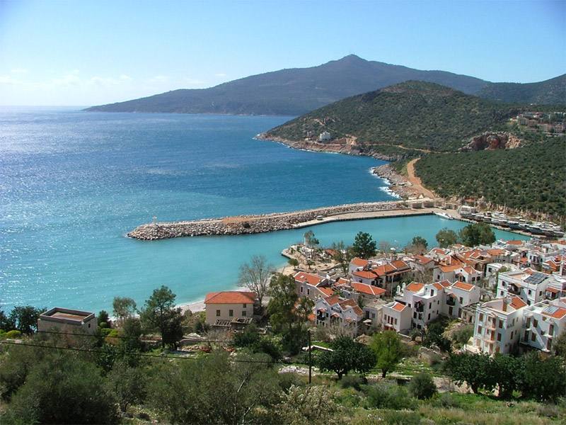 Kalkan görünüm